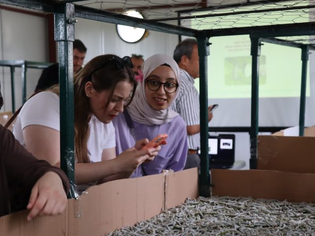 KOÜ ÖĞRENCİLERİ İPEKBÖCEĞİ KOZAEVİ’NDE ÜRETİM SÜRECİNİ YERİNDE İNCELEDİ